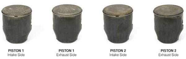 DOMINATOR Pistons